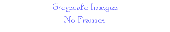 Greyscale Images -- No Frames