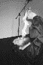 Greyscale Images -- No Frames -- Photo 3